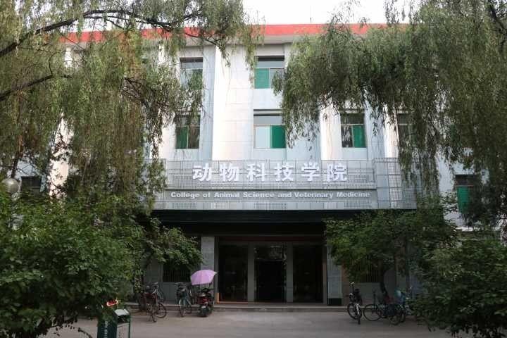 农大建筑发展史
